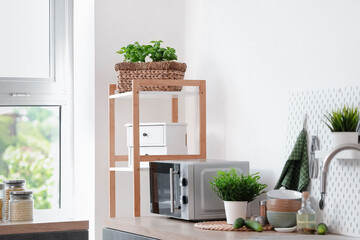 Interior of modern kitchen with green plants