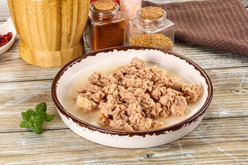 Canned tuna fish in the bowl