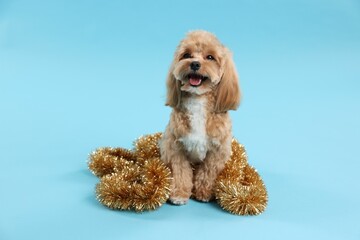 Cute dog with shiny tinsel on light blue background
