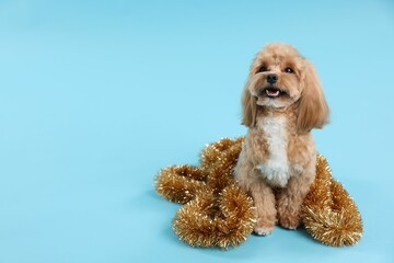 Cute dog with shiny tinsel on light blue background. Space for text