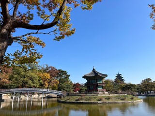 Fototapeta premium Landscape view of a garden at Gyeongbokgung Palace in Seoul, South Korea