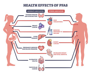 Health effects of PFAS include liver damage, thyroid disease, and cancer risks, transparent background.