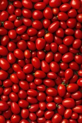An exquisite display of small, oval cherry tomatoes, vibrant and fresh, symbolizing abundance and summertime freshness.