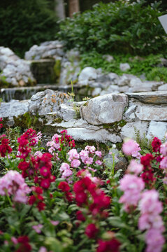 Pink and red flowers blooming near stone waterfall in Cascade Gardens