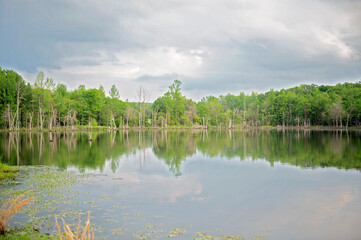A calm lake reflects lush trees under a cloudy sky