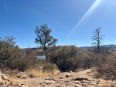 Rugged trail with desert vegetation by Watson Lake in Prescott, AZ