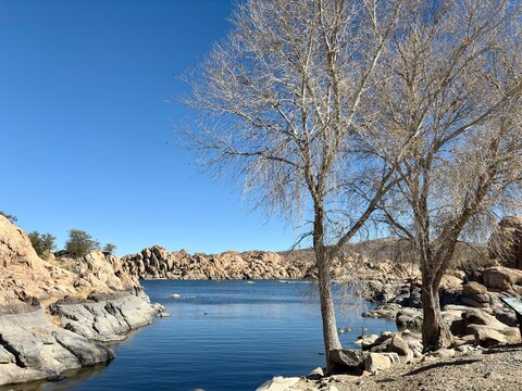 Leafless trees by the rocky shoreline of Watson Lake in Prescott, AZ