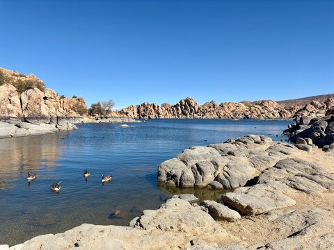 Geese swimming near the rocky shoreline of Watson Lake in Prescott, AZ