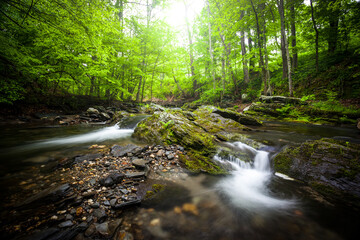 Obraz premium A woodland stream with mossy rocks and waterfalls during springtime