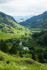 Fototapeta premium River Winding Through Lush Green Valley in Mountainous Terrain