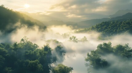 Fototapeta premium A peaceful morning in a misty valley with trees, fog swirling around the landscape, and soft lighting.