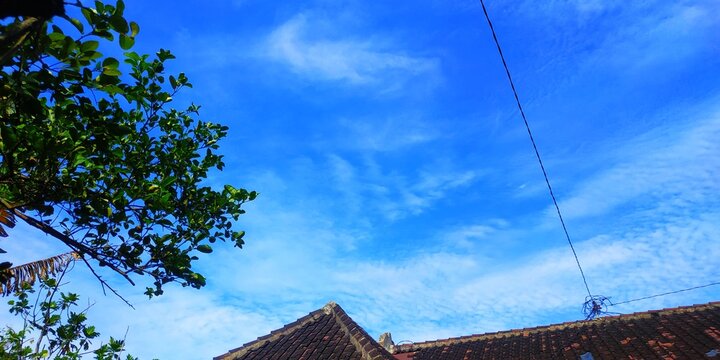 Wide Angle View of a Clear Blue Sky with Fluffy Clouds, Framed by Green Foliage, Natural Outdoor Setting, Perfect for Nature and Sky Photography Collections