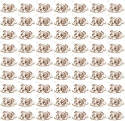 Obraz premium pattern-background