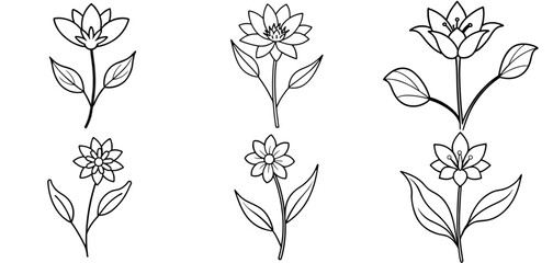 Wild Flower Outline Coloring Page Printable Line Art Drawing