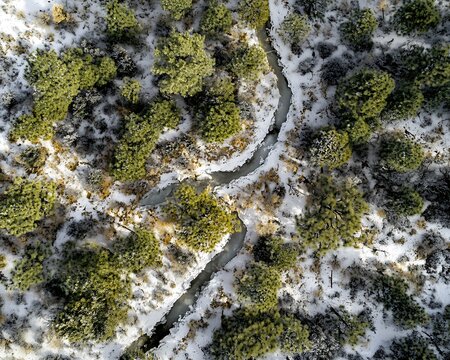 Aerial view of frozen stream in snowy forest