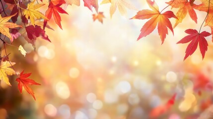 Autumn background with blurred autumn leaves and copy space for text, autumn concept. Autumn background with falling colorful red, yellow, and orange maple leaves