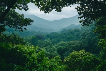 Obraz premium Lush green tropical rainforest with mountains in the background peacefully