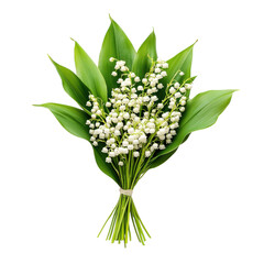 Obraz premium Lily of the Valley Bouquet on transparent background.