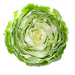 Fototapeta premium Extreme front view of a perfectly beautiful hyperrealistic single raw raw cabbage vegetable slice isolated on a white transparent background