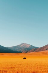Obraz premium Solitary structure in vast golden field, mountain backdrop