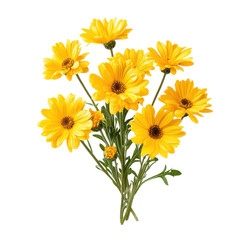 Fototapeta premium Yellow Flower Bouquet Still Life on transparent background.