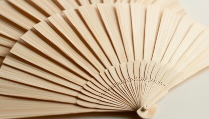 Wooden Hand Fan Open on Neutral Background