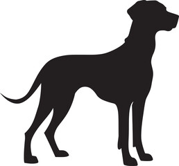 Sloughi Silhouette Vector Illustration White Background