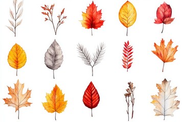 Colorful autumn leaves arranged in artistic display showcasing nature's beauty and seasonal change