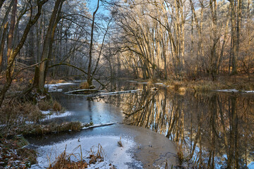 Klimatyczna rzeka Bukówka, prawy dopływ rzeki Noteć