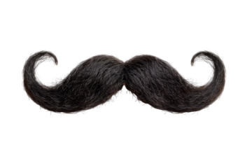 Classic Black Mustache. Isolated Prop For Humor, Vintage Or Disguise Needs.