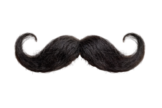 Classic Black Mustache. Isolated Prop For Humor, Vintage Or Disguise Needs.