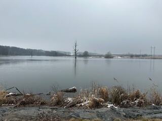 motoroshna nature lake tree in the middle of the water expanse
