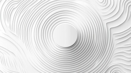 Obraz premium Abstract white concentric circles design, background texture, modern art, website banner