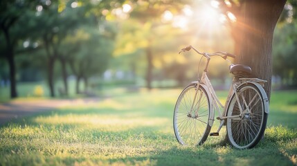 Fototapeta premium A bicycle rests by a tree, symbolizing simplicity and connection with nature.