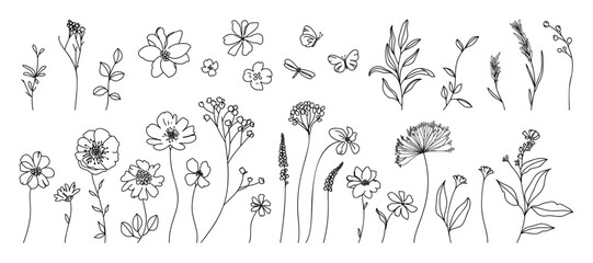 Collection of floral and botanical elements. Set of leaf, foliage wildflowers, plants, bloom, leaves and herb. Hand drawn of blossom spring season vectors for decor, website, wedding card and shop.
