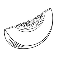 outline drawing of a fresh melon for coloring pages