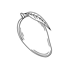 outline drawing of a fresh mango for coloring pages
