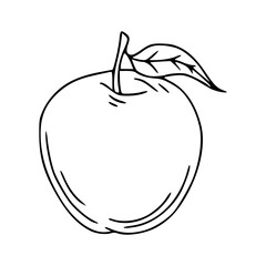 outline drawing of a fresh apple for coloring pages