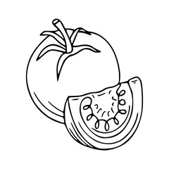 outline drawing of a fresh tomato for coloring pages
