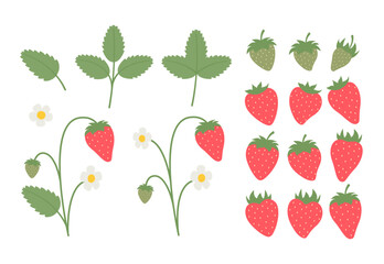 Strawberry Vector Flat Set. Sliced and Whole Summer Berries Collection with Leaves and Flowers. 
