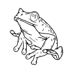 outline drawing of a toad
