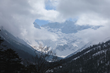 Beautiful high altitude snow capped mountain and forest  in Tibet, China