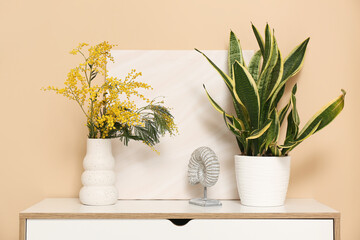 Vase with mimosa flowers, plant and painting on shelf near beige wall