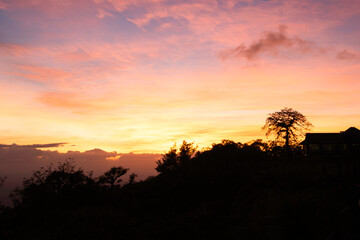 sunset with silhouette tree  in the forest