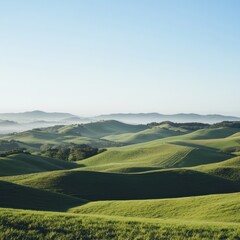 Fototapeta premium Tuscan hills at dawn