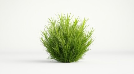 Lush Green Grass Bush Isolated on White Background for Design Use