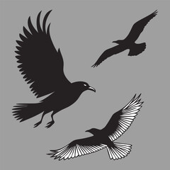 Obraz premium vector illustration of a bird