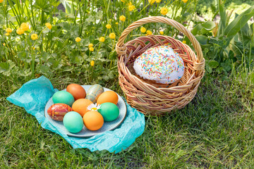 Easter cake in a wicker basket and a plate with colored Easter eggs on green grass with yellow Persian buttercup.