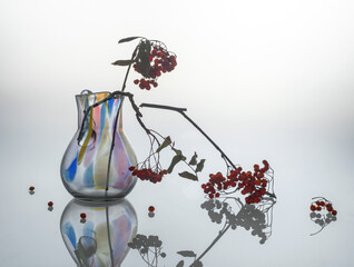 Glass jug with dry rowan branches with dried berries on a light background. Reflection in glass.
