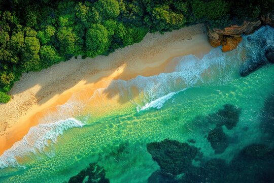 Manly Beach and Shelly Beach: A Picturesque Coastal Landscape in Sydney, Australia